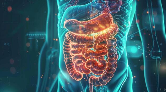 Glowing 3D scan of the human digestive tract